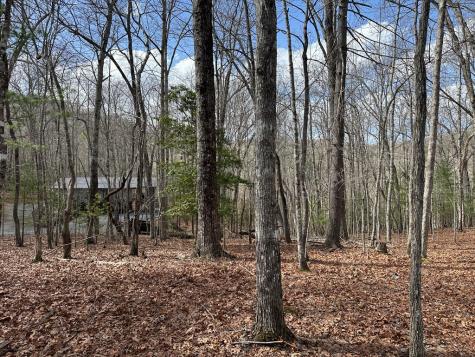 Lot 20 Black Oak Road Cherry Log GA 30522