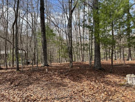 Lot 20 Black Oak Road Cherry Log GA 30522
