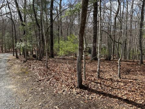 Lot 20 Black Oak Road Cherry Log GA 30522