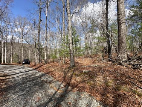 Lot 20 Black Oak Road Cherry Log GA 30522