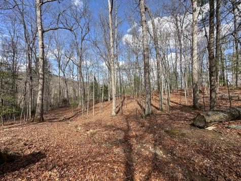 Lot 20 Black Oak Road Cherry Log GA 30522