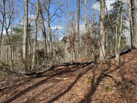 Lot 20 Black Oak Road Cherry Log GA 30522