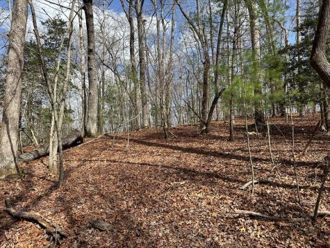 Lot 20 Black Oak Road Cherry Log GA 30522
