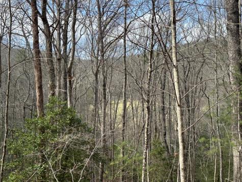 Lot 20 Black Oak Road Cherry Log GA 30522