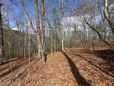 Lot 20 Black Oak Road Cherry Log GA 30522