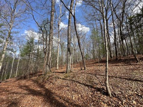 Lot 20 Black Oak Road Cherry Log GA 30522