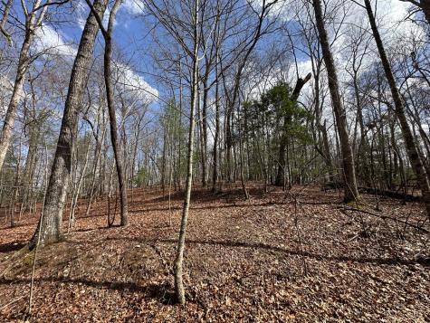 Lot 20 Black Oak Road Cherry Log GA 30522