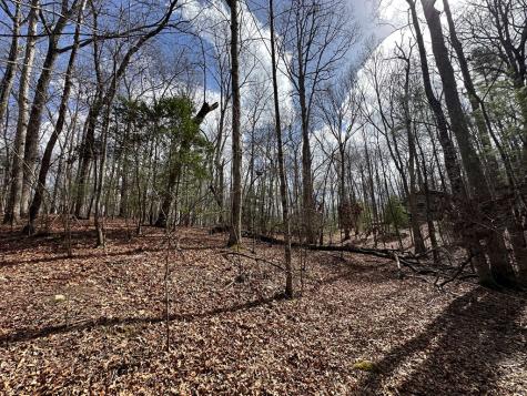 Lot 20 Black Oak Road Cherry Log GA 30522