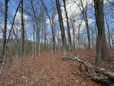 Lot 20 Black Oak Road Cherry Log GA 30522