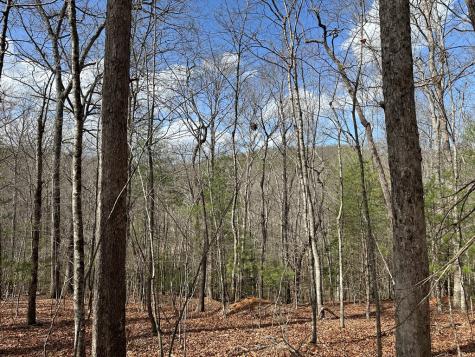 Lot 20 Black Oak Road Cherry Log GA 30522