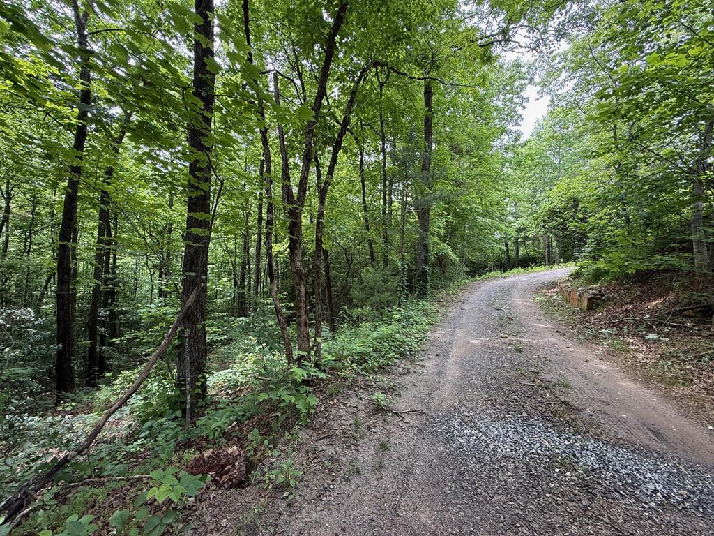00 Mr Bert Road Hiawassee GA 30548