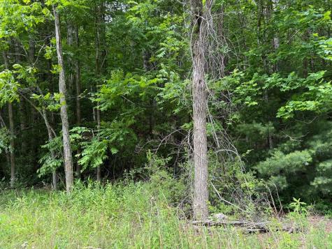 00 Mr Bert Road Hiawassee GA 30548