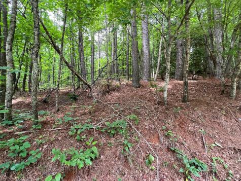 00 Mr Bert Road Hiawassee GA 30548