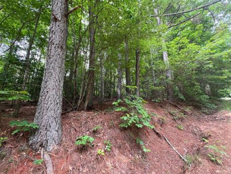 00 Mr Bert Road Hiawassee GA 30548