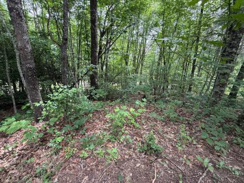 00 Mr Bert Road Hiawassee GA 30548