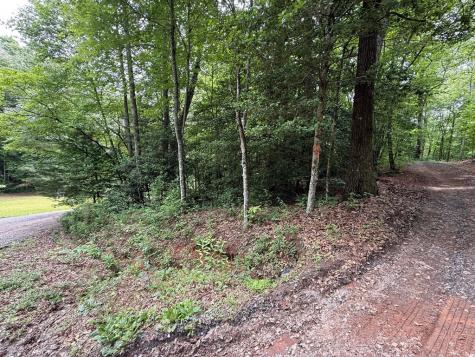 00 Mr Bert Road Hiawassee GA 30548
