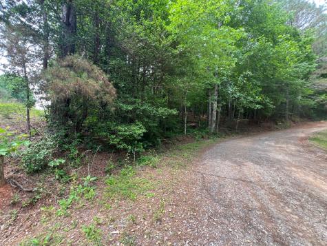 00 Mr Bert Road Hiawassee GA 30548
