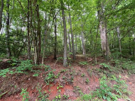 00 Mr Bert Road Hiawassee GA 30548