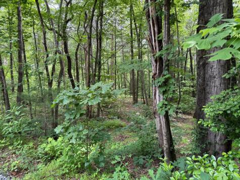 00 Mr Bert Road Hiawassee GA 30548
