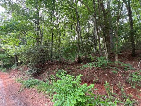 00 Mr Bert Road Hiawassee GA 30548