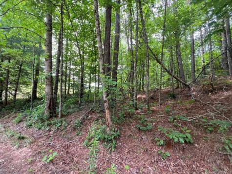 00 Mr Bert Road Hiawassee GA 30548