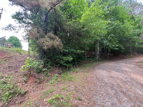 00 Mr Bert Road Hiawassee GA 30548