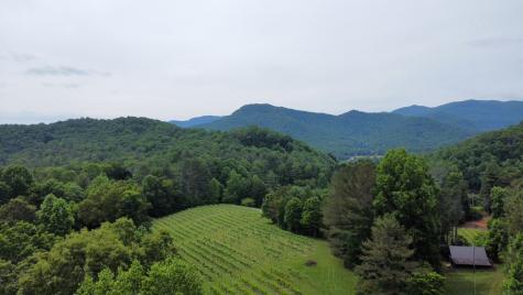 00 Mr Bert Road Hiawassee GA 30548