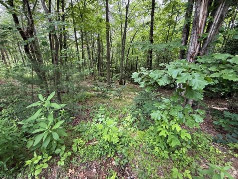 00 Mr Bert Road Hiawassee GA 30548