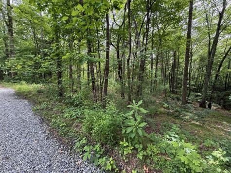 00 Mr Bert Road Hiawassee GA 30548