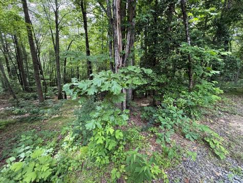 00 Mr Bert Road Hiawassee GA 30548