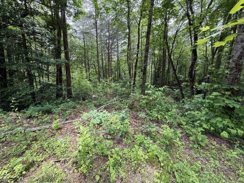 00 Mr Bert Road Hiawassee GA 30548