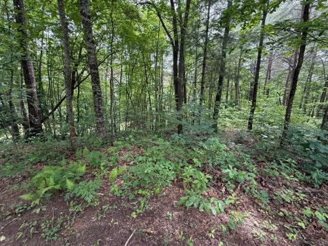 00 Mr Bert Road Hiawassee GA 30548