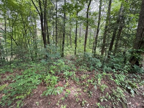 00 Mr Bert Road Hiawassee GA 30548