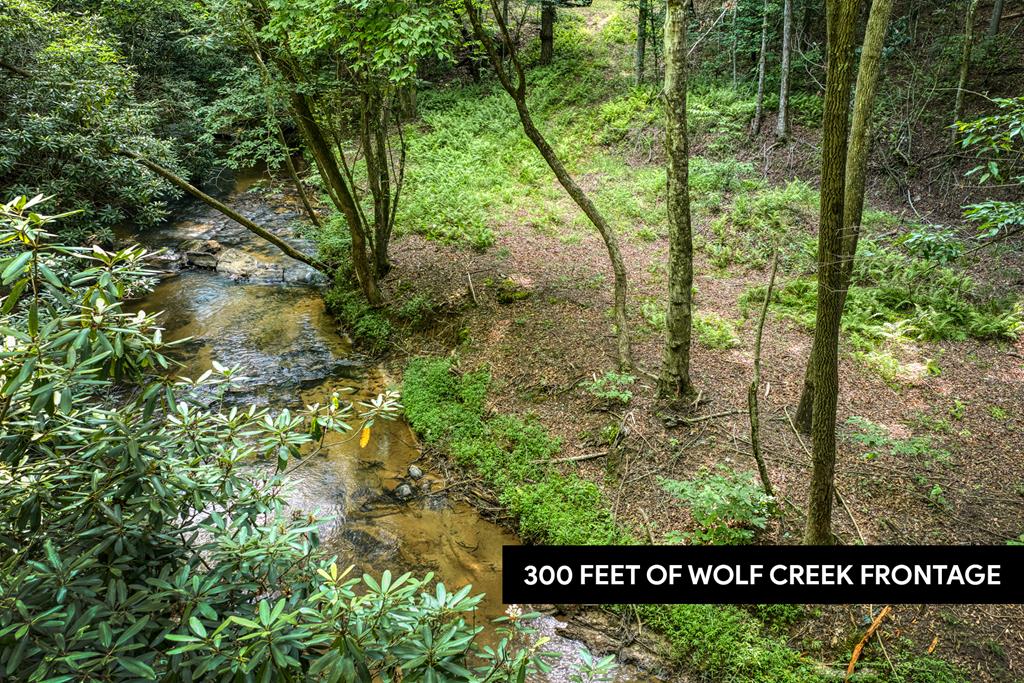 00 Mill Race Drive Mineral Bluff GA 30559