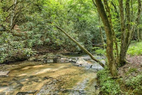 00 Mill Race Drive Mineral Bluff GA 30559