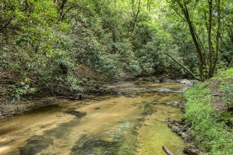 00 Mill Race Drive Mineral Bluff GA 30559