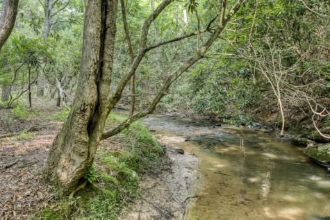 00 Mill Race Drive Mineral Bluff GA 30559