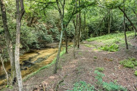 00 Mill Race Drive Mineral Bluff GA 30559