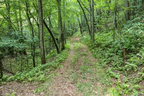 00 Mill Race Drive Mineral Bluff GA 30559