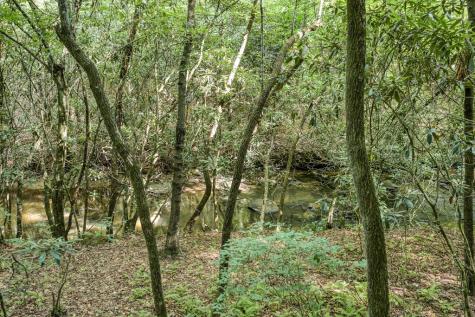 00 Mill Race Drive Mineral Bluff GA 30559
