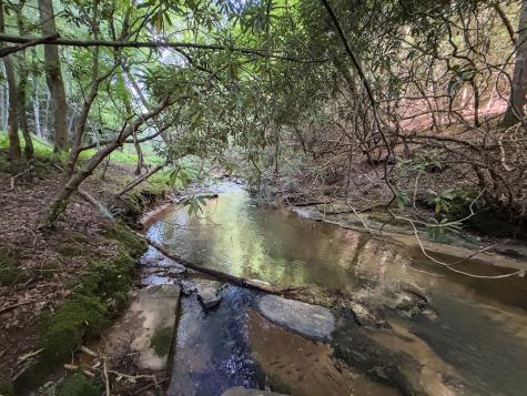 00 Mill Race Drive Mineral Bluff GA 30559
