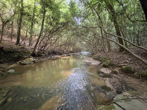 00 Mill Race Drive Mineral Bluff GA 30559