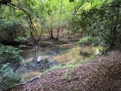 00 Mill Race Drive Mineral Bluff GA 30559