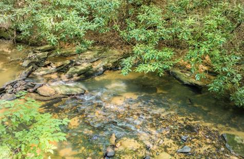 00 Mill Race Drive Mineral Bluff GA 30559
