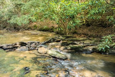00 Mill Race Drive Mineral Bluff GA 30559