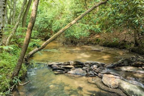 00 Mill Race Drive Mineral Bluff GA 30559