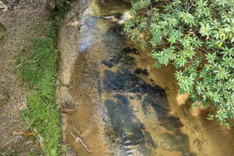 00 Mill Race Drive Mineral Bluff GA 30559