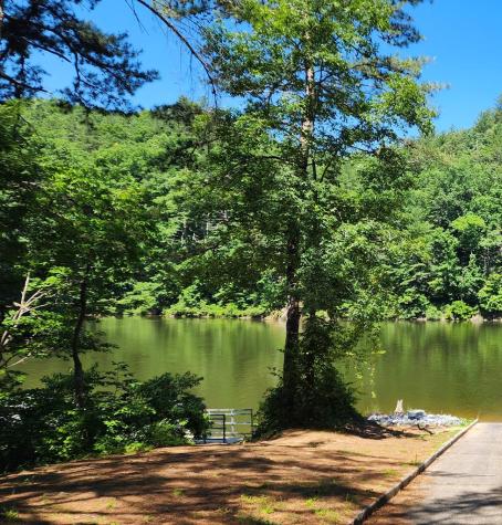 Lot 112 Jakes Landing Overlook Ellijay GA 30540
