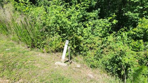 Lot 112 Jakes Landing Overlook Ellijay GA 30540