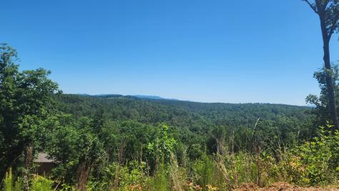 Lot 112 Jakes Landing Overlook Ellijay GA 30540